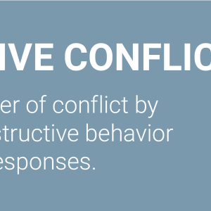 Everything DiSC Productive Conflict